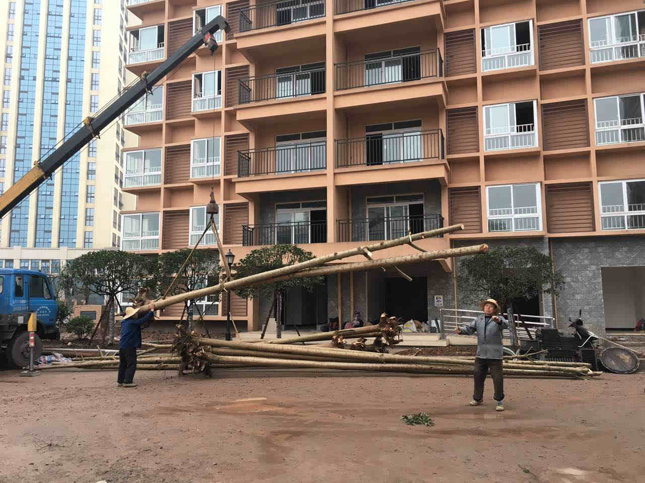 �o���н��(y��ng)�^(q��)�������Uס�����^�G������